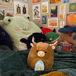 12in Colton Squishmallow